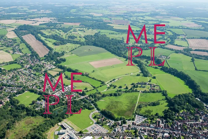 : Cowdray Park : Cowdray Park