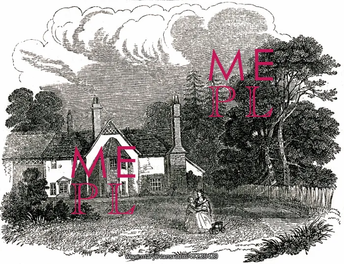 : COWPER / BIRTHPLACE / HERTS : COWPER / BIRTHPLACE / HERTS