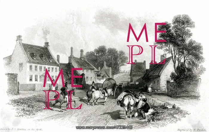 : COWPER / WESTON LODGE : COWPER / WESTON LODGE
