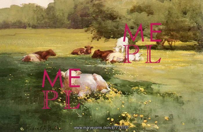  : Cows in a Buttercup Field