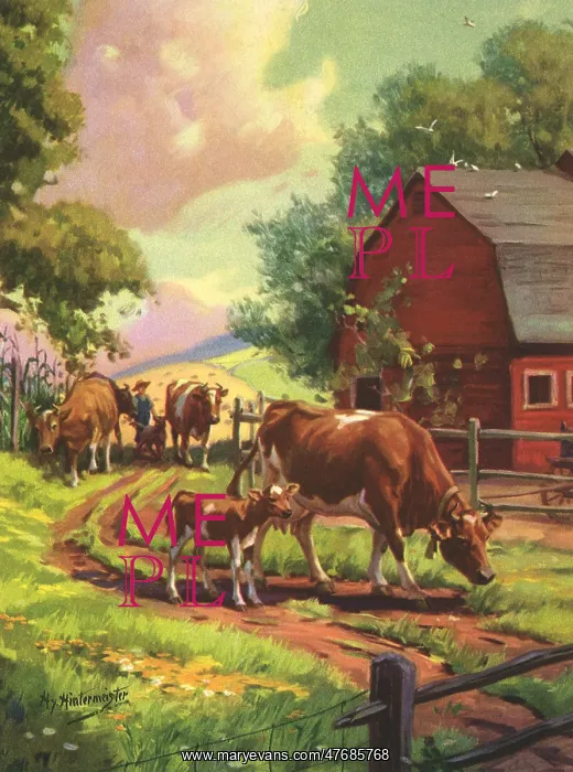  : Cows Coming Home