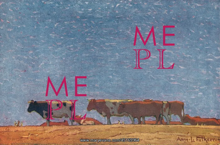 : Cows On The Hill : Cows On The Hill