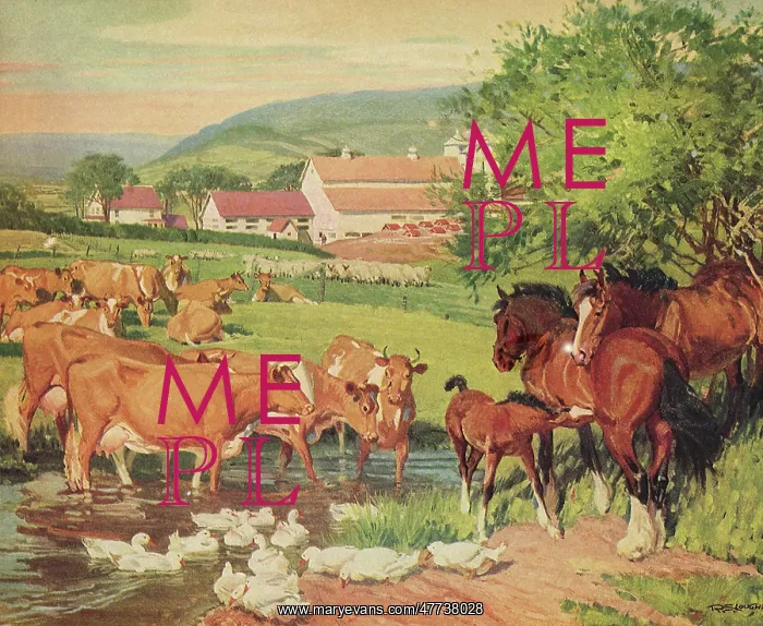  : Cows, Horses and Ducks on a Farm