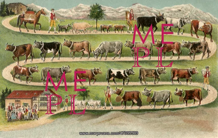 : Cows in a Line