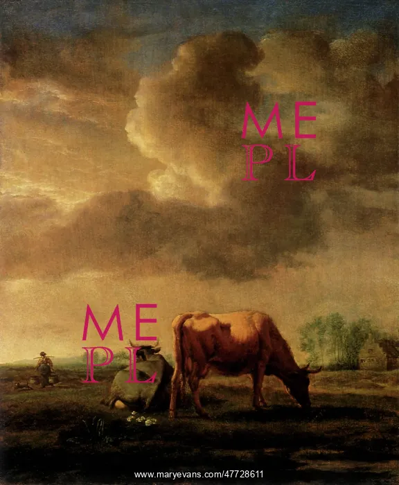  : Cows in a Meadow