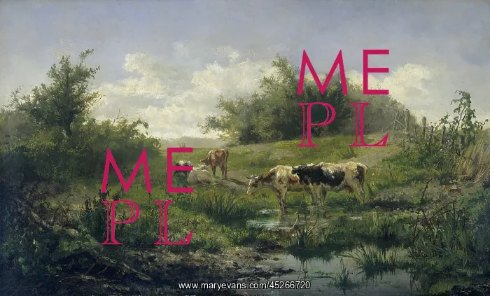 : Cows at a Pond : Cows at a Pond