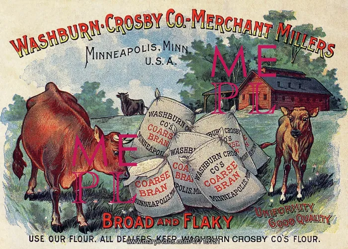  : Cows Raid Grain Sacks