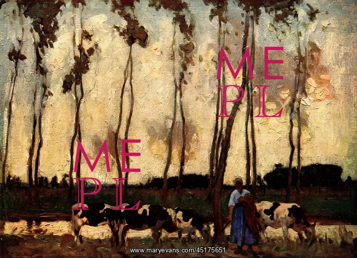 : Cows By The River : Cows By The River