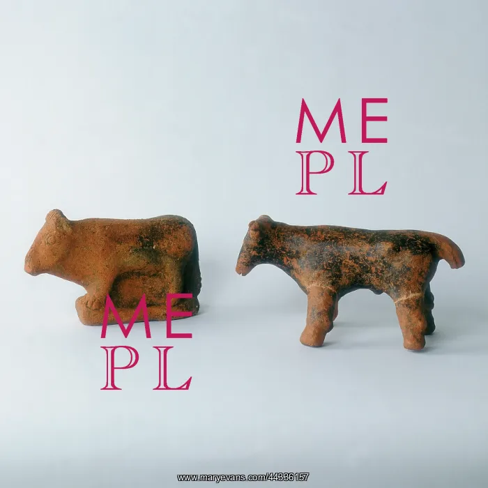 : Cows, terra cotta votive piece : Cows, terra cotta votive piece