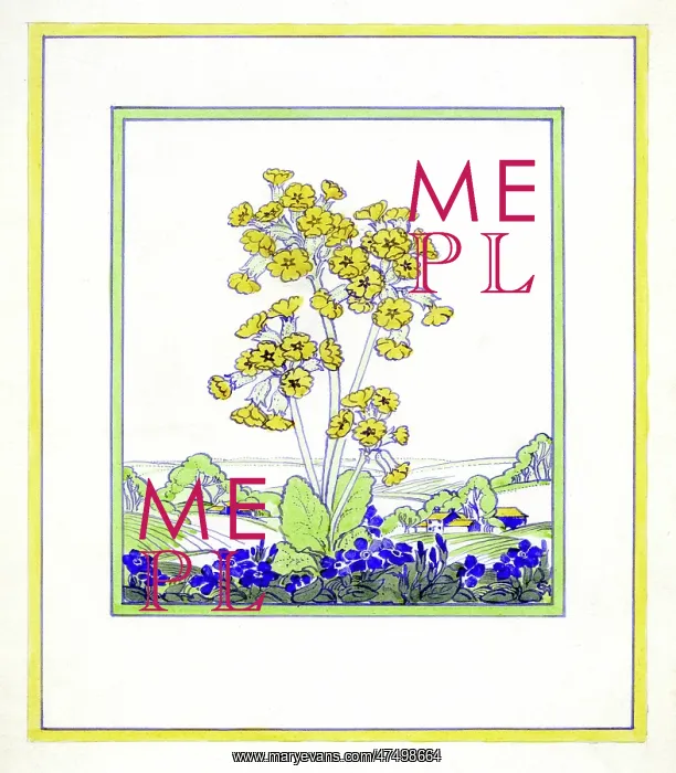 : Cowslips and Periwinkle with landscape : Cowslips and Periwinkle with landscape