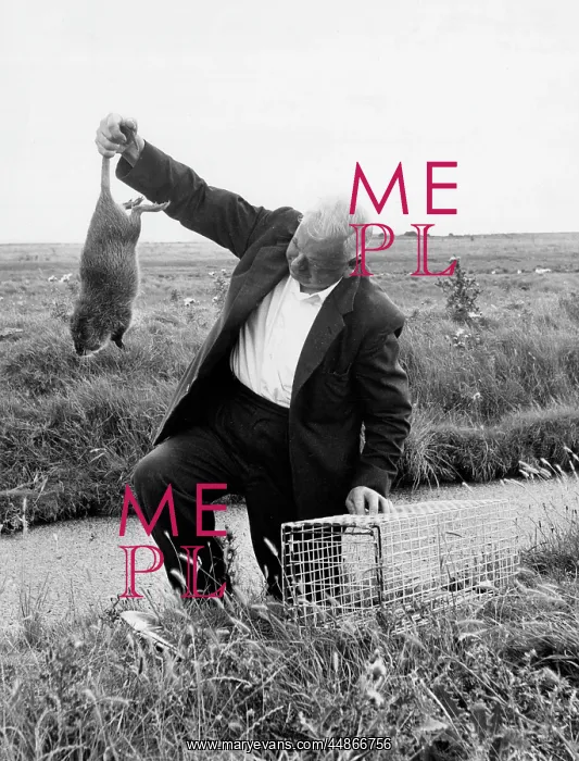 : COYPU TRAPPING : COYPU TRAPPING