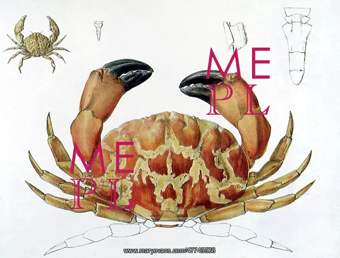  : Crab