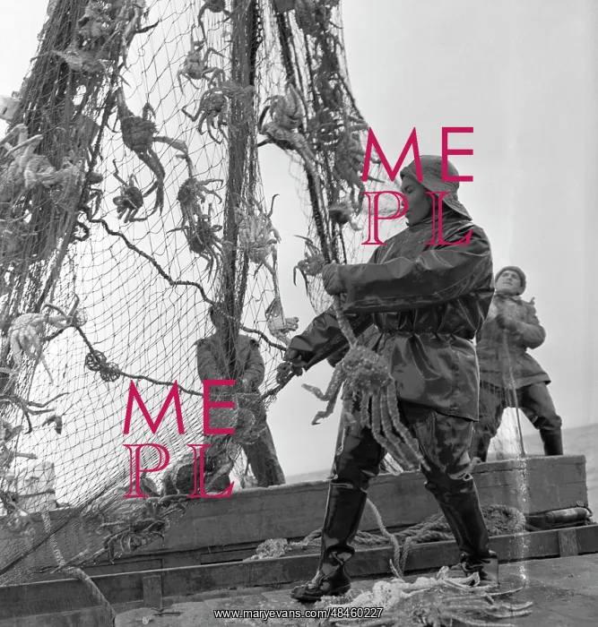 : Crab Seiner number 105 : Crab Seiner number 105