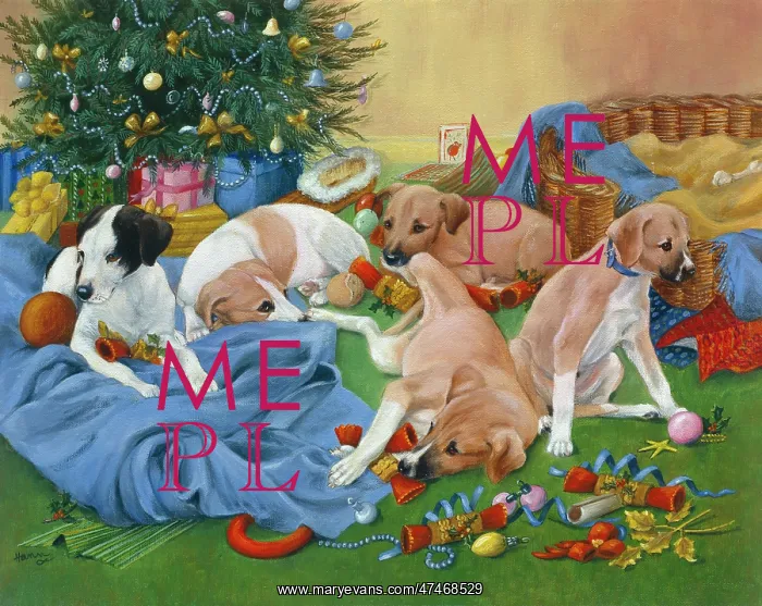 : Crackers ? five puppies : Crackers ? five puppies