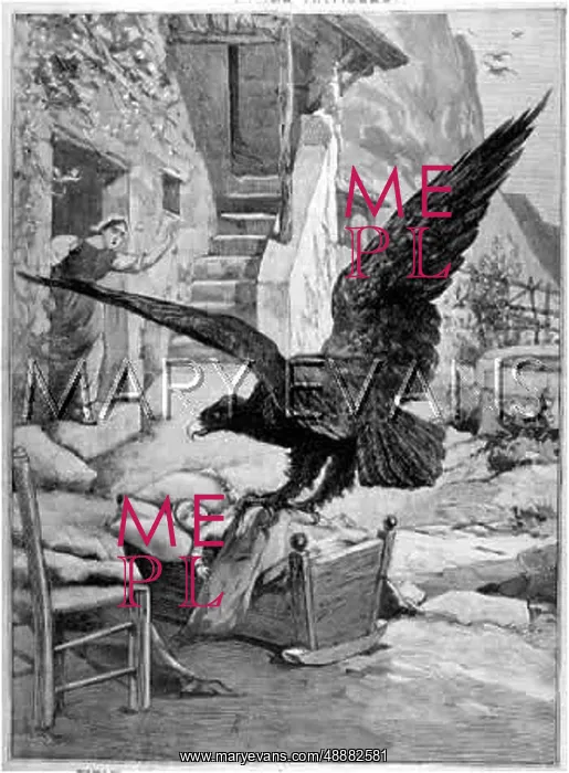: CRADLE-SNATCHING EAGLE : CRADLE-SNATCHING EAGLE