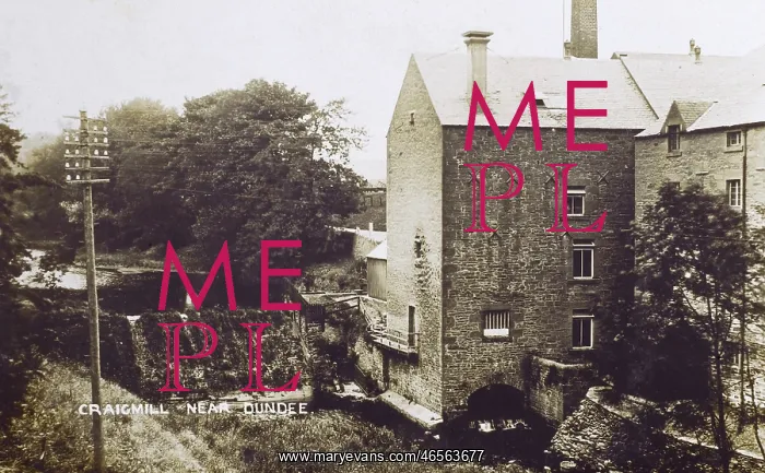 : Craigmill, near Dundee, Scotland : Craigmill, near Dundee, Scotland