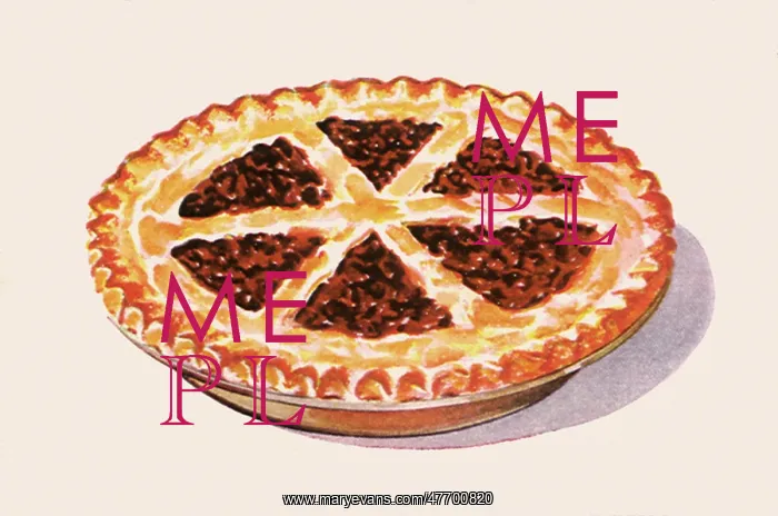 : Cranberry Raisin Pie : Cranberry Raisin Pie