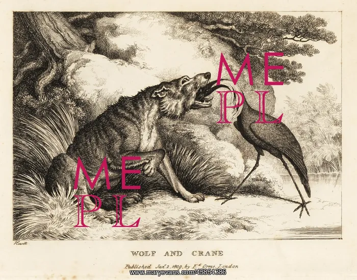 : A crane puts its head into a wolf's mouth : A crane puts its head into a wolf's mouth