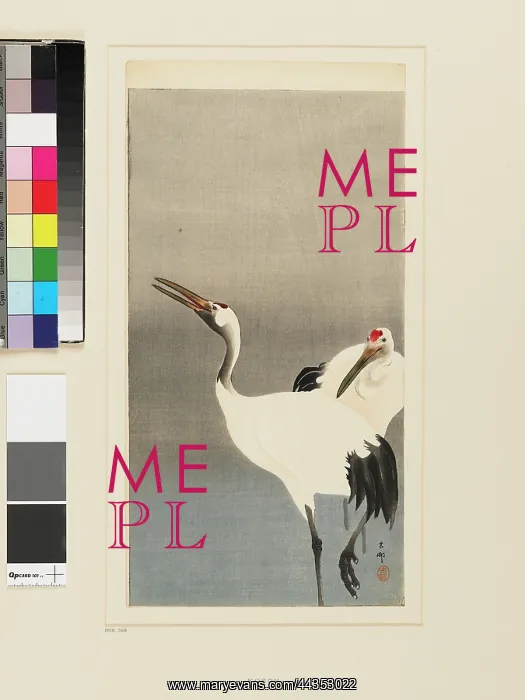 : Cranes. Ohara Koson print of Cranes
