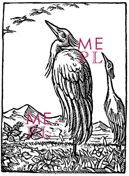 : Cranes, by Erich Feyerabend