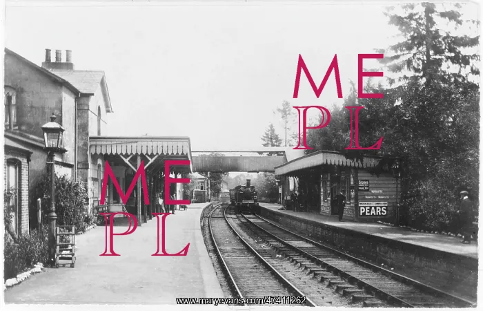  : CRANLEIGH - 1908