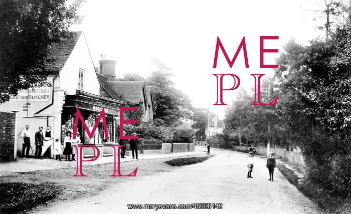  : Cranleigh, the Shop 1906