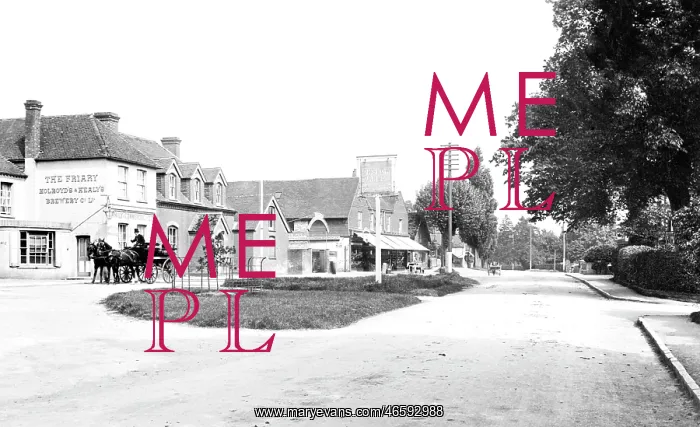  : Cranleigh, the Village 1904
