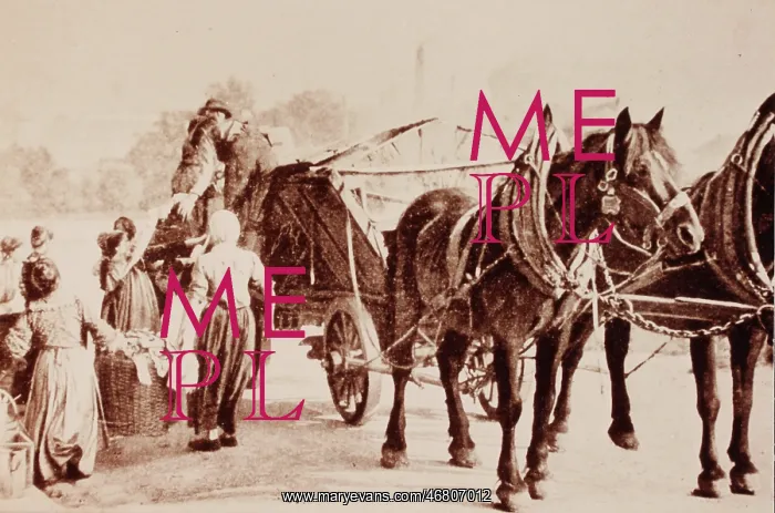 : Crap farmer with his horse cart : Crap farmer with his horse cart
