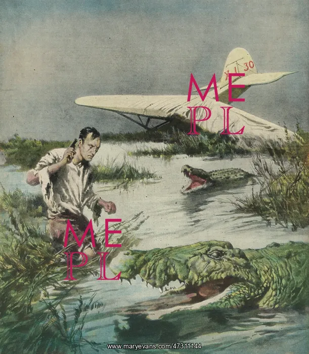 : CRASH AMID CROCODILES : CRASH AMID CROCODILES