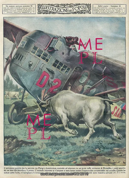 : CRASH AND BULL : CRASH AND BULL
