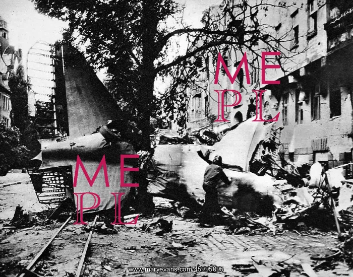 : Crashed Dakota Airplane, Berlin, 1948 : Crashed Dakota Airplane, Berlin, 1948