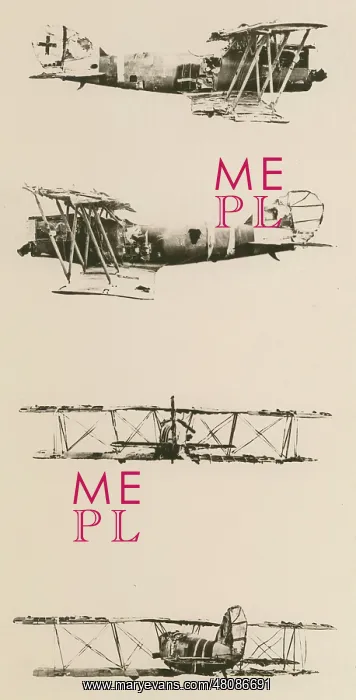 : A crashed Pfalz DXII reconstructed : A crashed Pfalz DXII reconstructed