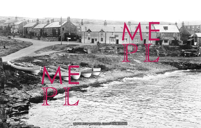  : Craster, the Harbour 1951