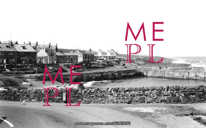  : Craster, the Harbour 1964