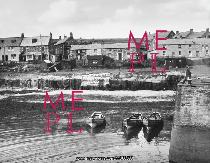  : CRASTER, NORTHUMBERLAND