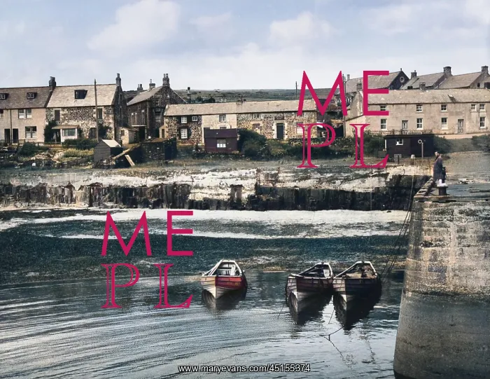  : CRASTER, NORTHUMBERLAND