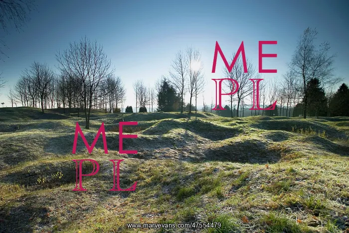 : Craters on the Ouvrage du Thiamont battlefield : Craters on the Ouvrage du Thiamont battlefield