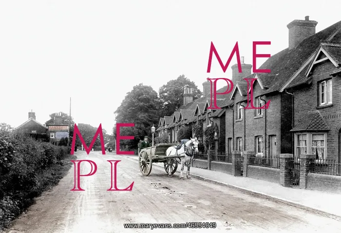  : Crawley, London Road 1907