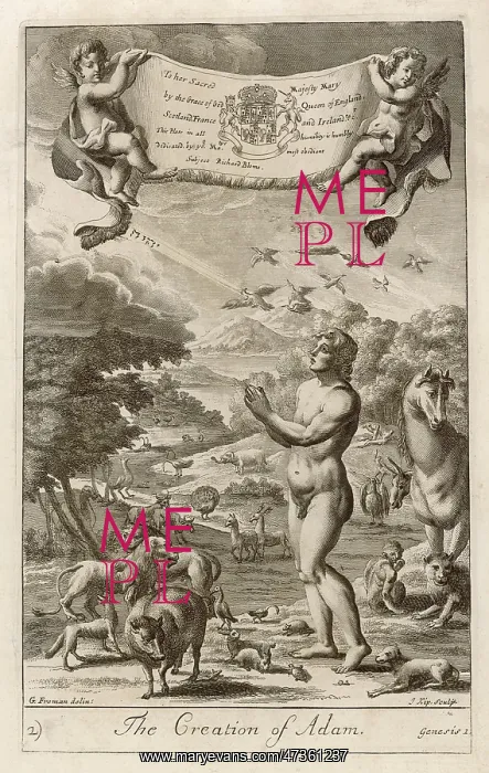 : CREATION OF ADAM : CREATION OF ADAM