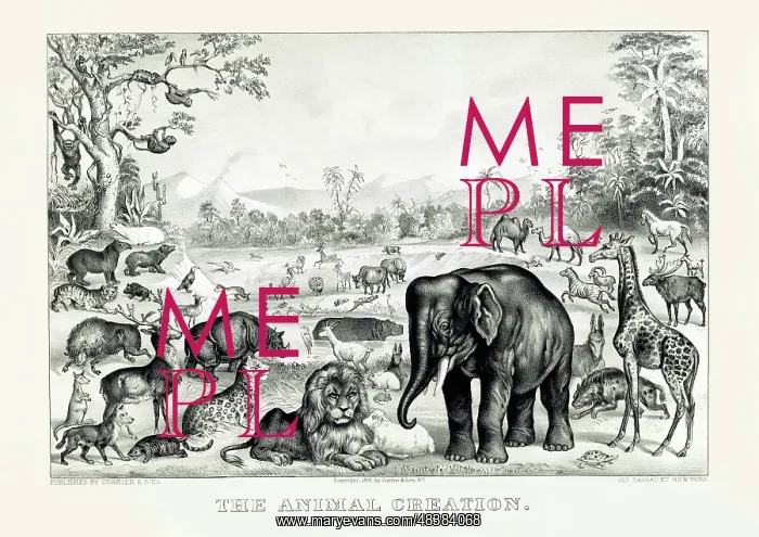 : Creation of animals in the Garden of Eden, from : Creation of animals in the Garden of Eden, from