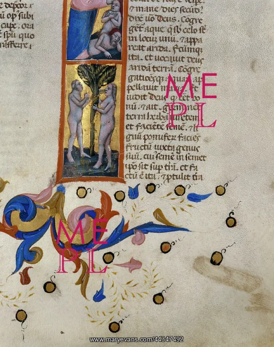 : The Creation of Man and : The Creation of Man and