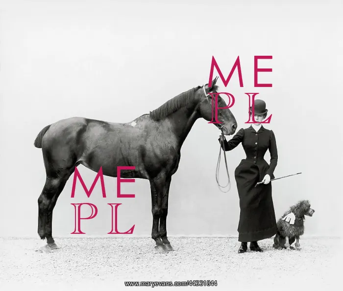 : Creative. Portrait of Miss Walsh with a horse : Creative. Portrait of Miss Walsh with a horse