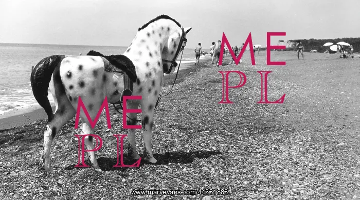 : Creative. Toy pony on the beach : Creative. Toy pony on the beach