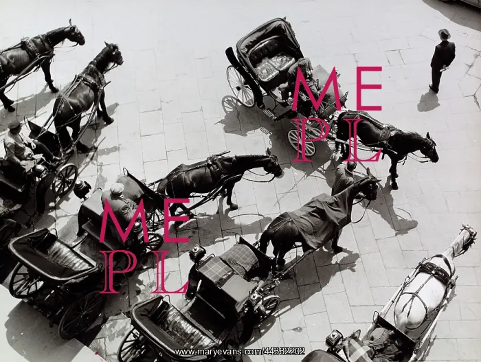 : Creative. Carriages in the Piazza della Signoria in Florence : Creative. Carriages in the Piazza della Signoria in Florence