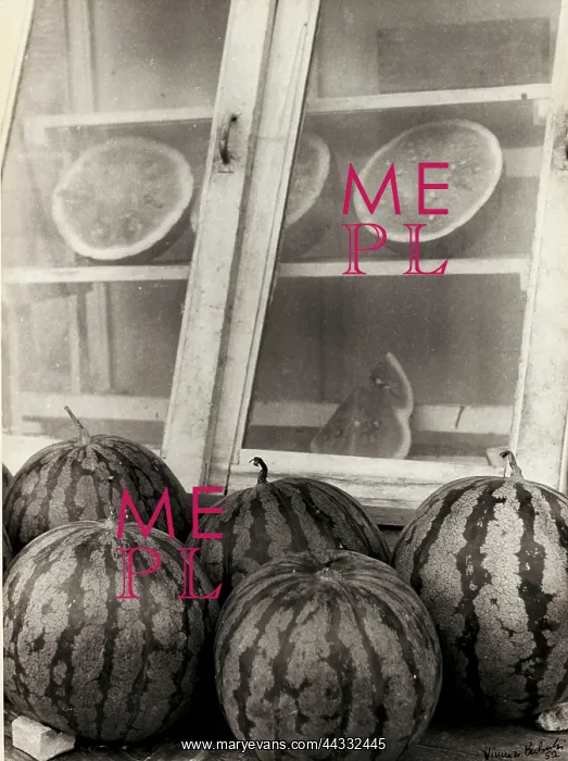 : Creative. Watermelons : Creative. Watermelons