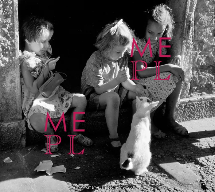 : Creative. St. Barnaba, Venice, The Kitten Three young girls sitting on a step : Creative. St. Barnaba, Venice, The Kitten Three young girls sitting on a step