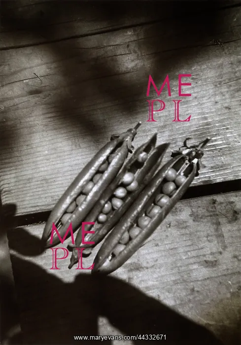 : Creative. Peas in the pod place on a table : Creative. Peas in the pod place on a table