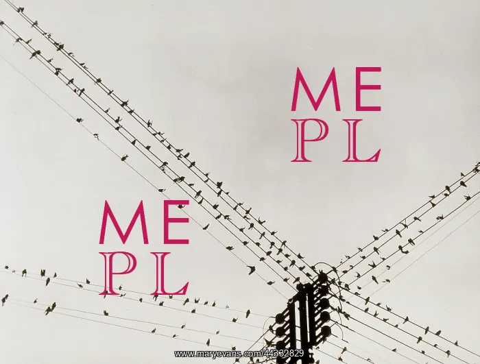 : Creative. Swallows perched on a power line : Creative. Swallows perched on a power line