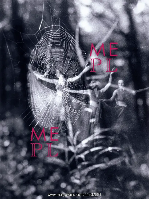 : Creative. Forest Fantasy. Overlay of two images showing a spider's web : Creative. Forest Fantasy. Overlay of two images showing a spider's web