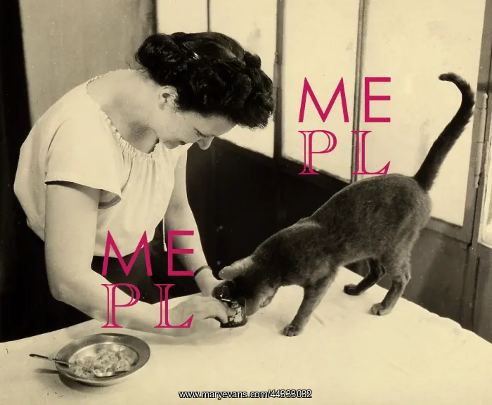 : Creative. Wanda Wulz preparing food for her cat Pippo : Creative. Wanda Wulz preparing food for her cat Pippo